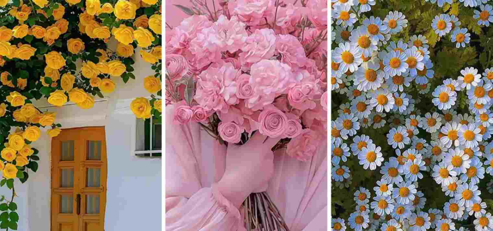 مدیریت زمان و بهره‌وری